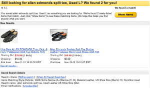 ebay saved search results