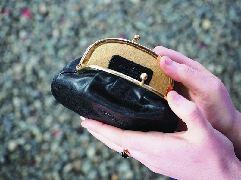 Dual Clasp Leather Coin Purse