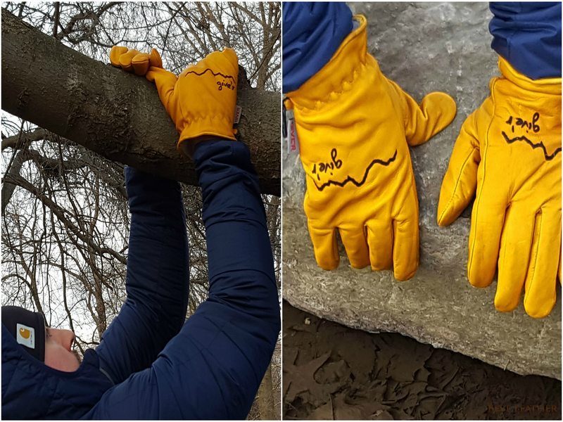 https://bestleather.org/wp-content/uploads/2017/02/GiverGloves-13-Tree-Climbing.jpg